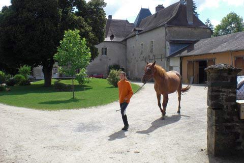 horses dordogne