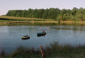 swimming from the gite