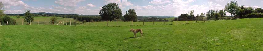 View from the grounds of our French gite